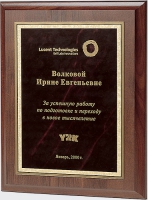 Плакетка PL1725C-SN